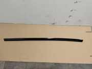 Zierleiste Porsche Panamera 2 (971)