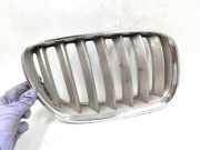 Vorderer oberer Gitter BMW X5 (E53) 3.0 d 7124816