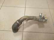 Schlauch Kühlung FIAT DUCATO Furgon (250_, 290_) 120 Multijet 2,3 D