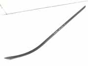 Vertikale Verkleidung auf der linken Seite der Windschutzscheibe FORD GRAND C-MAX (DXA/CB7, DXA/CEU) 2.0 TDCi AM51-R03195