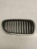 Vorderer oberer Gitter BMW 5 Touring (F11) 520 d 7200728