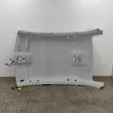 Dachverkleidung CITROËN C4 X (BD_, BE_, BF_) ë-C4 X (BFZKXC) 98419496UW 98419496