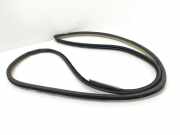 Türgummi rechts vorne Toyota Land Cruiser (J12)