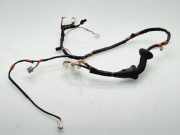 Kabel Tür Toyota RAV 4 III (A3) 8215242820D