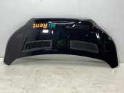 Motorhaube FORD TRANSIT 2.0 TDCi TKK31-A16612-AA