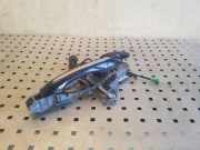 Türaußengriff hinten links JAGUAR XJ (X351) 3.0 D