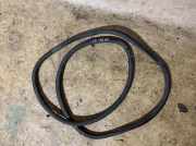 Türgummi links vorne Porsche Panamera 1 (970)