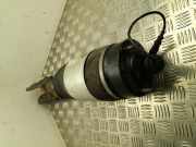 Stoßdämpfer links vorne Porsche Cayenne 2 (92A)