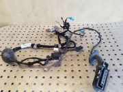 Türverkabelung hinten rechts JAGUAR XF (X260) 2.0 D GX6314632