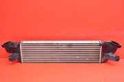 Ladeluftkühler Fiat Fullback Pick-up (502) 1530A161