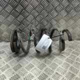 Schraubenfeder hinten links TESLA MODEL Y EV Performance All-wheel Drive 1188474-00-B