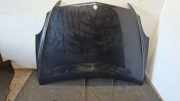 Motorhaube MERCEDES-BENZ R (W251, V251) R 280 CDI 4-matic (251.020)