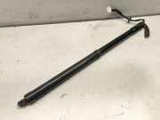Heckklappe Gasdruckfeder links NISSAN X-TRAIL (T32_) 2.0 dCi (T32) 905614CL2A