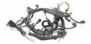 Motor Kabelbaum FIAT MULTIPLA (186_) 1.6 100 16V (186AXA1A) 55181851