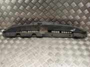 Anzeigetafel Rahmen SUBARU LEGACY V (BM) 2.0 D AWD 91165AJ010