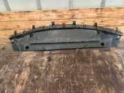 Bodenschutz der Frontstoßstange RENAULT LAGUNA II (BG0/1_) 1.6 16V (BG0A, BG0L)