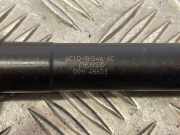 Düsenstöcke Peugeot Boxer Kasten (244) 6C1Q9K546AC