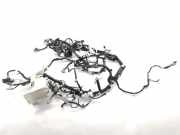 Kabelbaum TOYOTA C-HR (_X2_, _H2_) PHEV