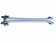 Dachreling links TOYOTA AVENSIS Estate (_T25_) 2.0 (AZT250_)