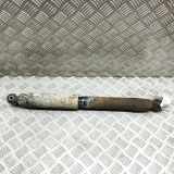 Stoßdämpfer hinten links VW AMAROK (2H_, S1B) 3.0 TDI 4motion 2H0513029H