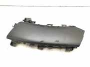 Handschuhfach RENAULT ESPACE IV (JK0/1_) 2.0 dCi (JK01, JK02, JK1J, JK1K)