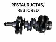 Kurbelwelle LAND ROVER RANGE ROVER SPORT (L320) 2.7 D 4x4 A132