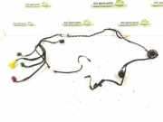 Kabel Tür vorne rechts MERCEDES-BENZ C (W204) C 180 Kompressor (204.044, 204.045) 2044402234 A2044402234