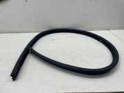 Türgummi links vorne Mercedes-Benz E-Klasse Coupe (C207)