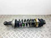 Stoßdämpfer rechts hinten Mercedes-Benz SL (R230) A2303200513