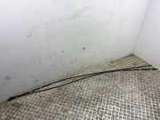 Dachleiste links NISSAN LEAF (ZE1) Electric