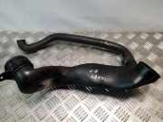 Andere Röhren CITROËN C8 (EA_, EB_) 2.0 HDi 972460