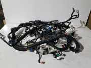 Kabelbaum RENAULT KOLEOS II 2.0 dCi 175 4WD 240184390S