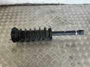 Stoßdämpfer hinten links TOYOTA MIRAI (JPD1_) FCV (JPD10_) 4853062020