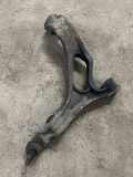 Querlenker vorne links unten VW TOUAREG (7LA, 7L6, 7L7) 3.0 V6 TDI 7L0407153B