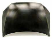Motorhaube VW Passat B7 (362) 3AA823031