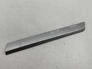 Türleiste hinten links OPEL ASTRA G Coupe (F07_) 2.2 DTI 24461111