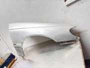 Kotflügel vorne rechts