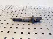 Zündspule BMW X5 (E53) 4.4 i 0221504100 1712219