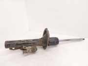 Stoßdämpfersatz Vorderachse Ford Transit Custom V362 Kasten (FY, FZ) BK2118045JA