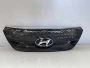 Kühlergrill oben Hyundai Sonata V (NF)