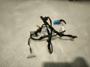 Kabel Tür Audi Q5 (8R) 8R0971036