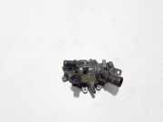 Thermostat Renault Scenic IV (J9) 110600260R