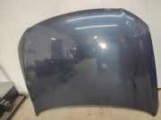 Motorhaube VW Passat B6 Variant (3C5)