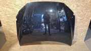 Motorhaube VOLVO V70 III (BW) 2.4 D C02132