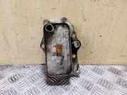 Ölfilterträger Chevrolet Captiva (C100, C140) 96868256