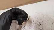 Nockenwellensensor VOLVO V70 III (BW) 2.4 D 0232103063