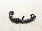 Schlauch für Luftversorgung Ford Kuga II (DM2) DS736C646FE