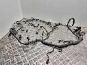 Kabel Motor Ford C-Max II (DXA) ENG311008