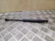 Gasfeder für Motorhaube Audi Q5 (8R) 8R0823359A