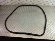 Türgummi rechts vorne BMW X3 (F25) 7205697